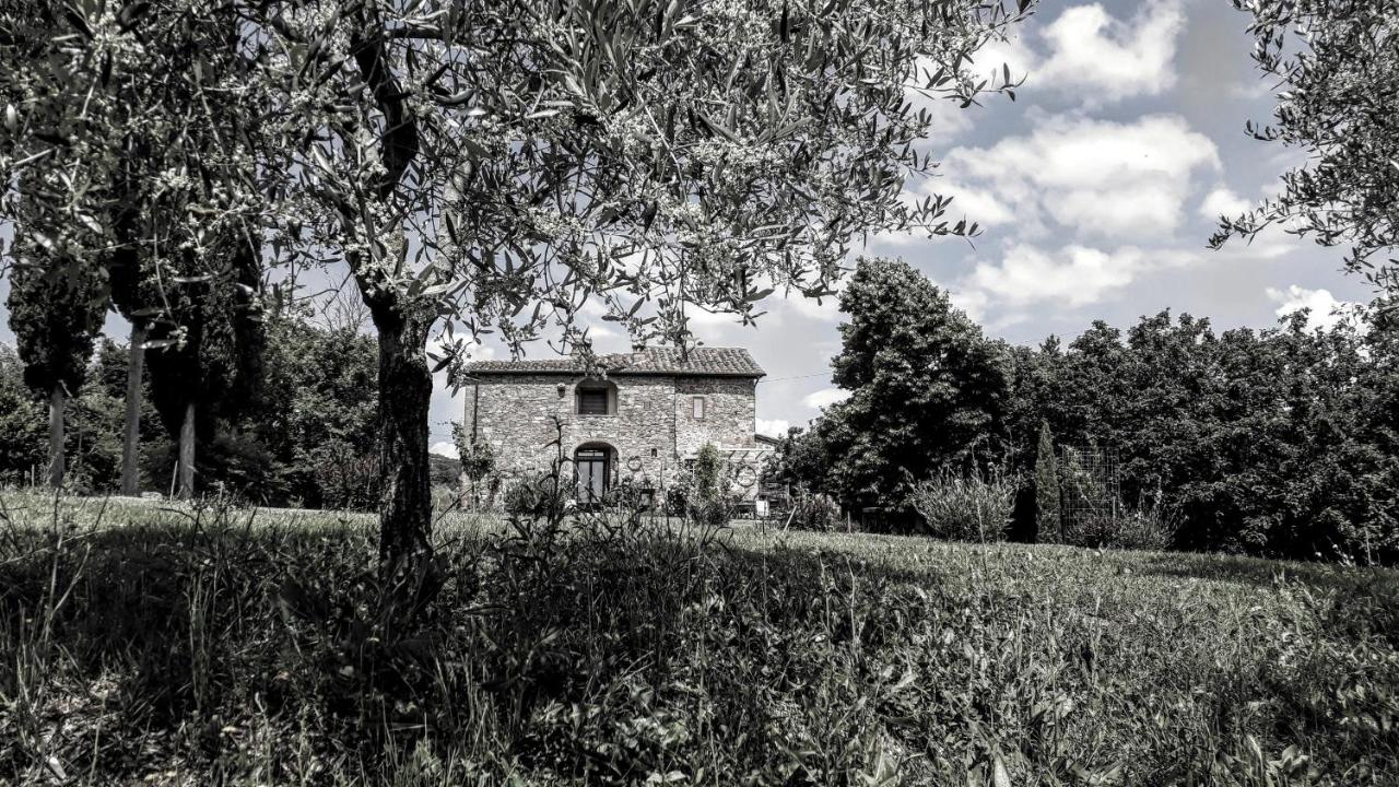 Photo - Podere Pievina Delle Corti - Dimora di Campagna