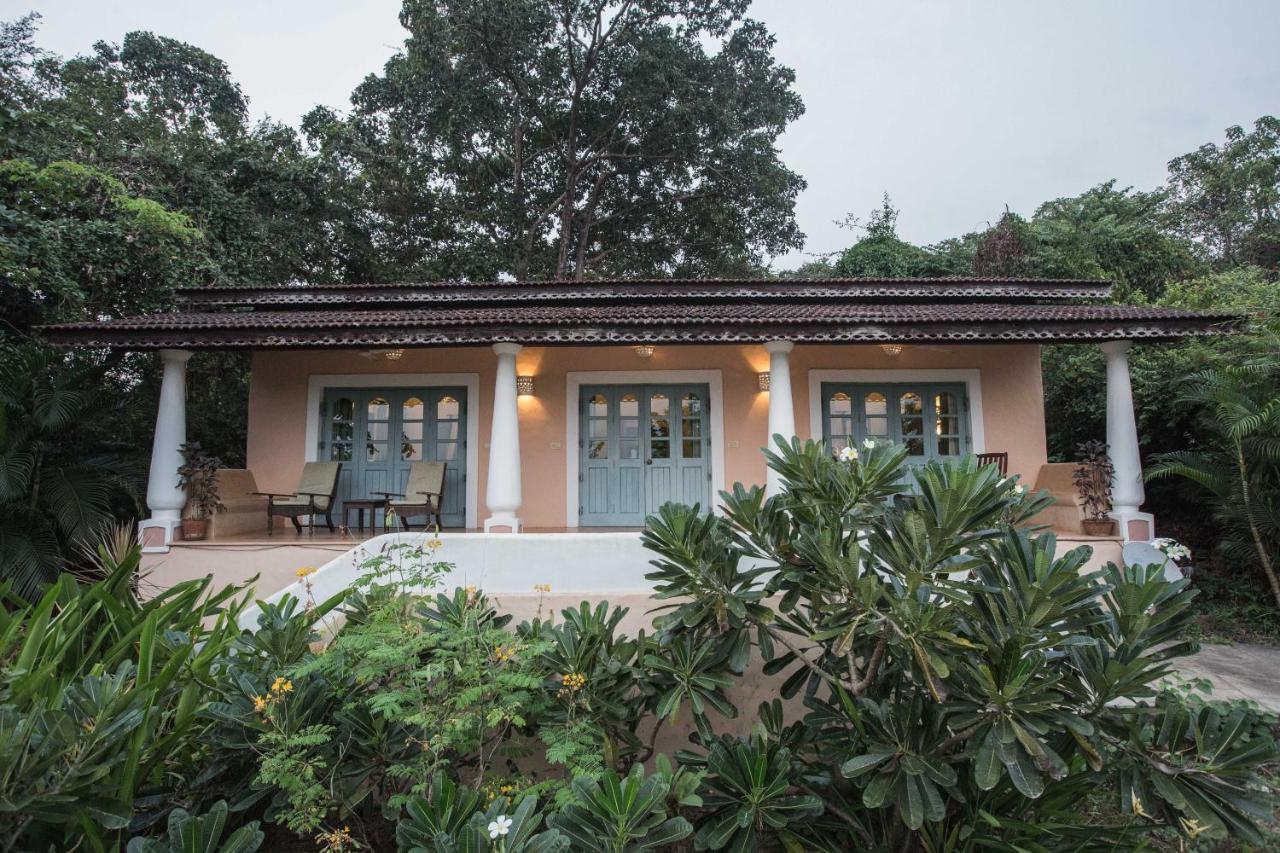 Foto - Wildflower Goa