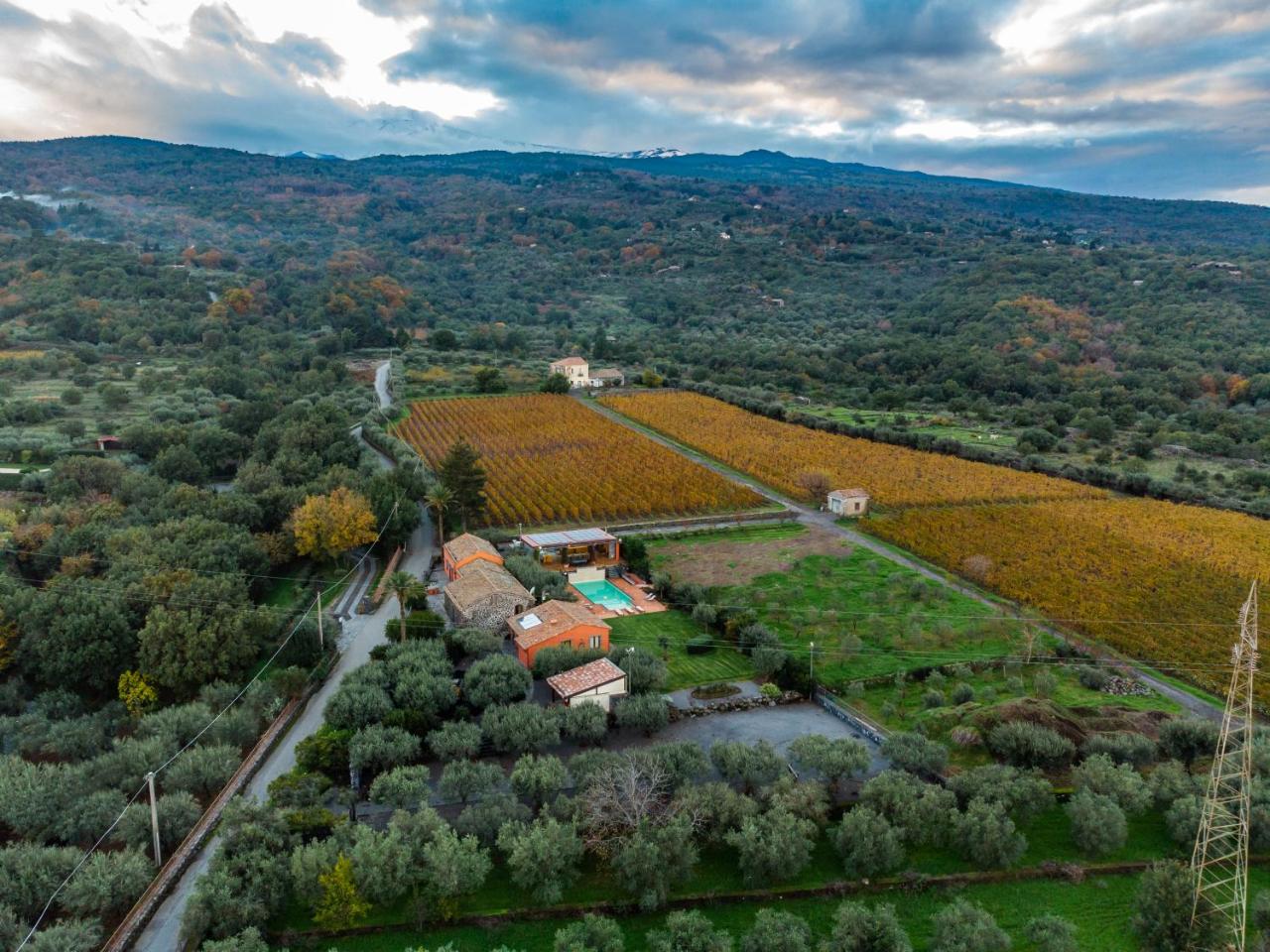 Casa Arrigo