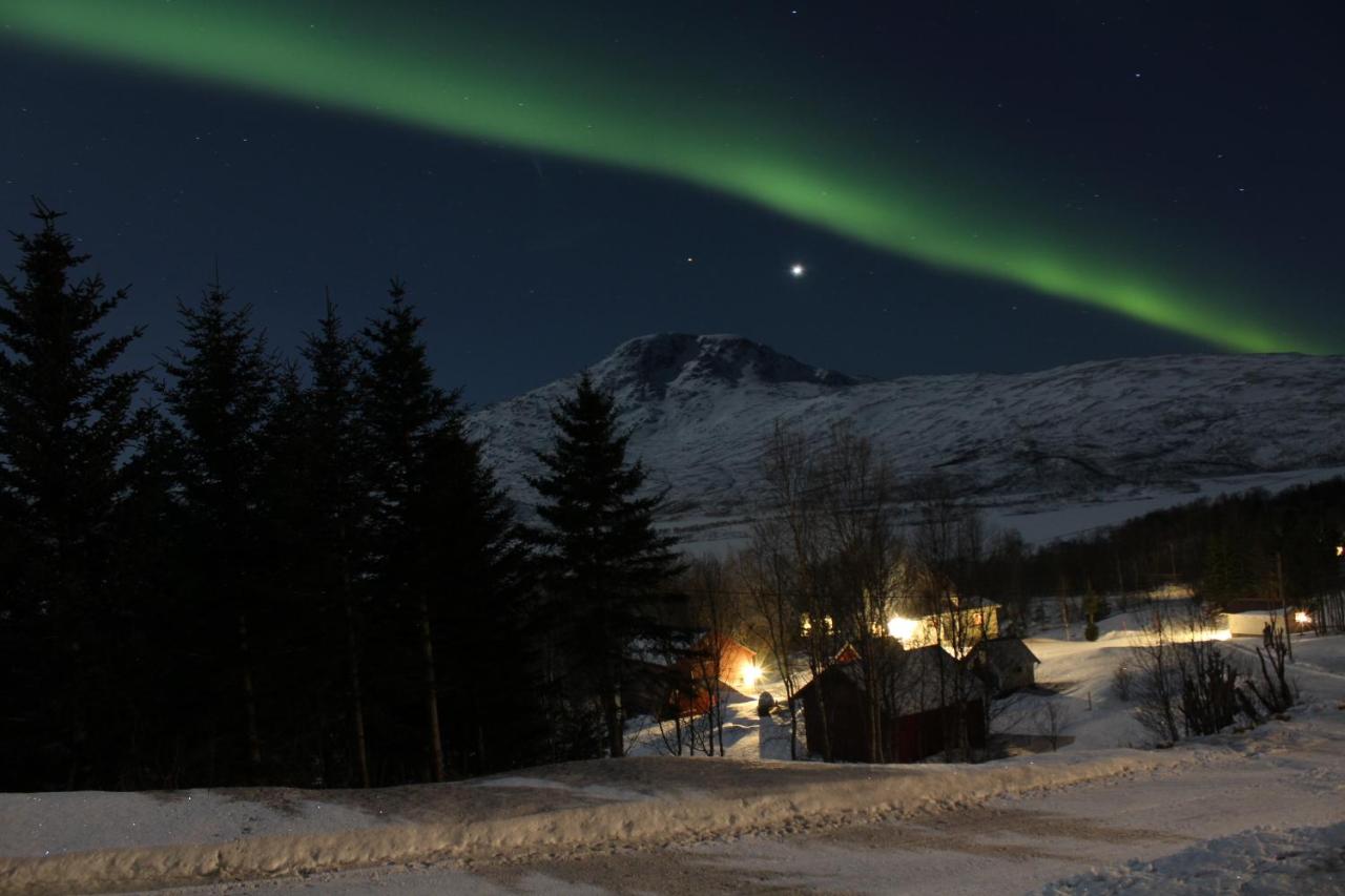 Fjøset - 2