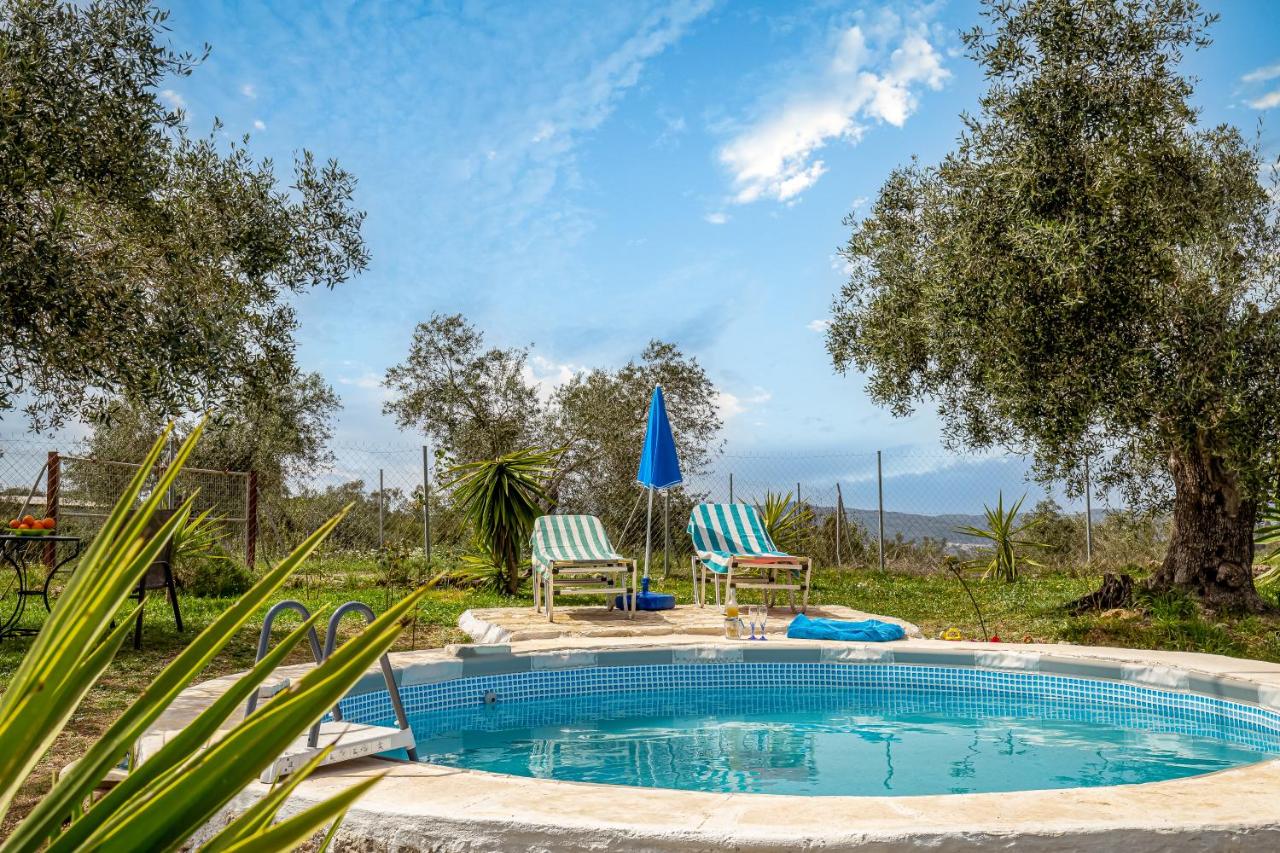 Classical Villa Anta - 2