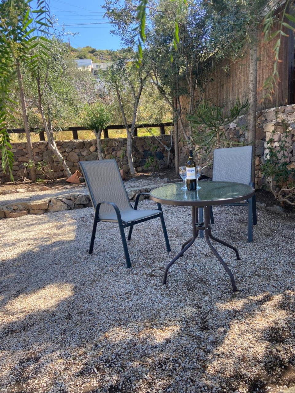 Pepper Tree - 5