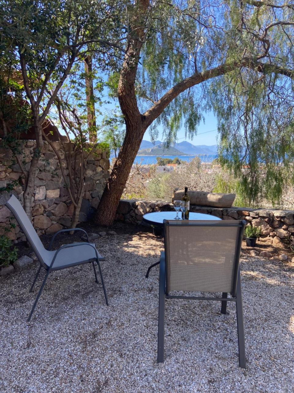 Pepper Tree - 3