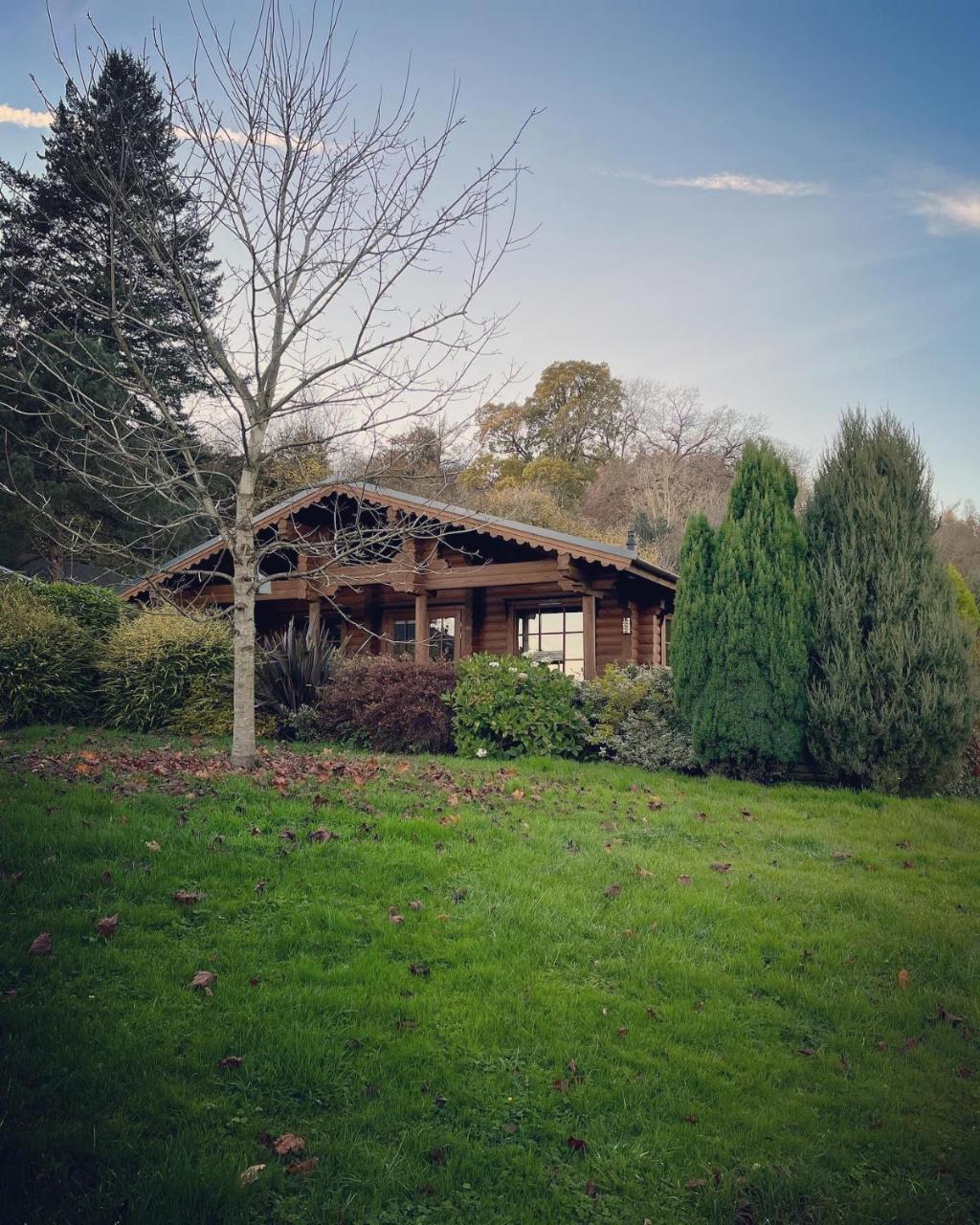 Countryside Log Cabin With Hot Tub - Beech - 6