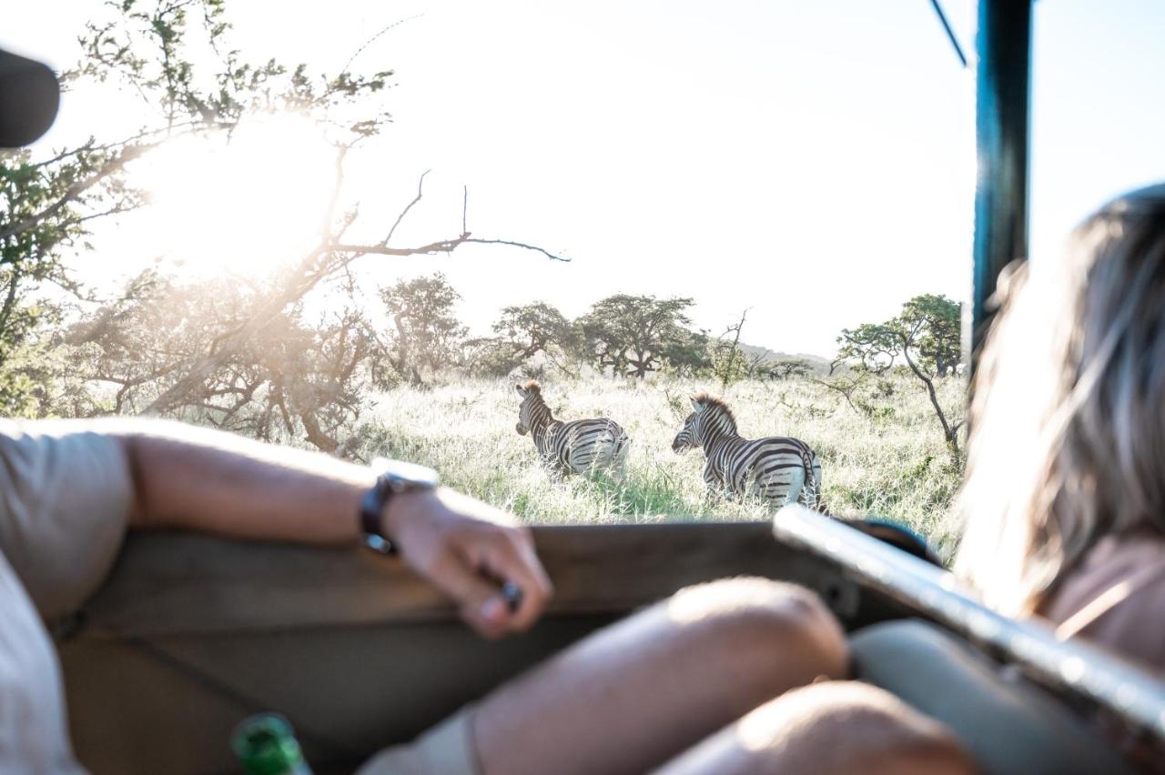 Duiker Game Lodge photo 4