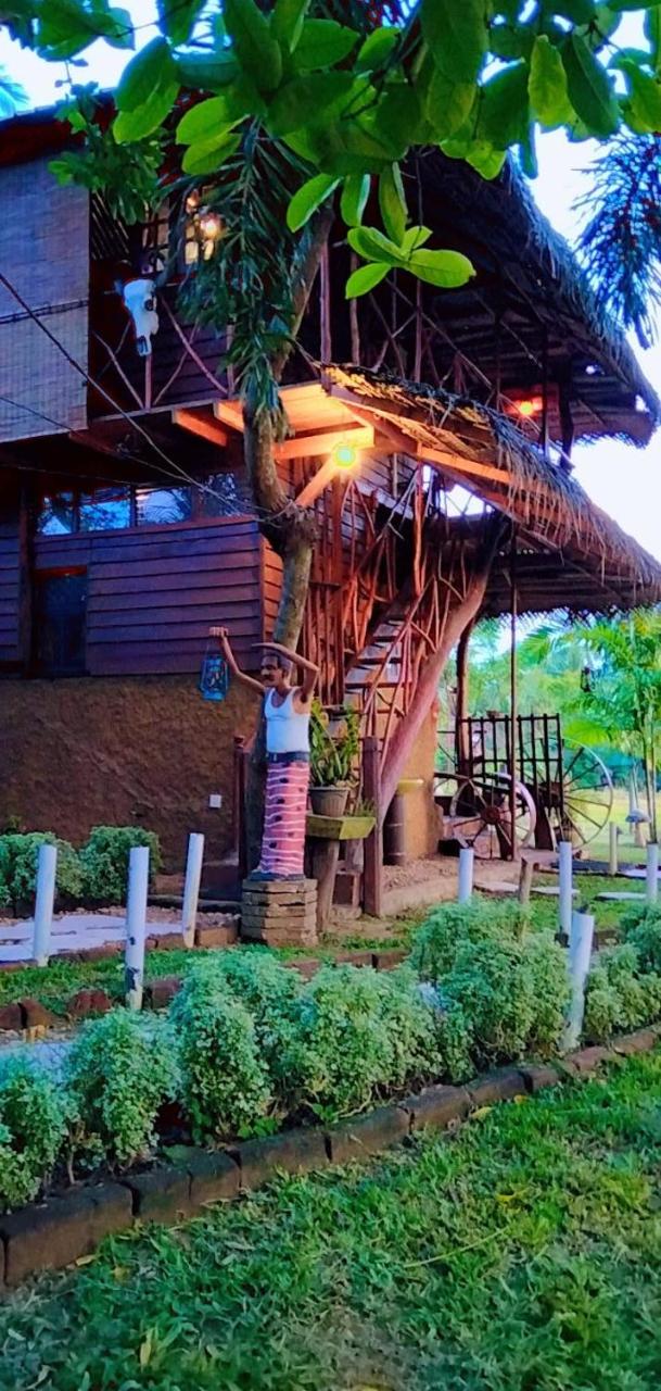 The Green View Yala photo 4