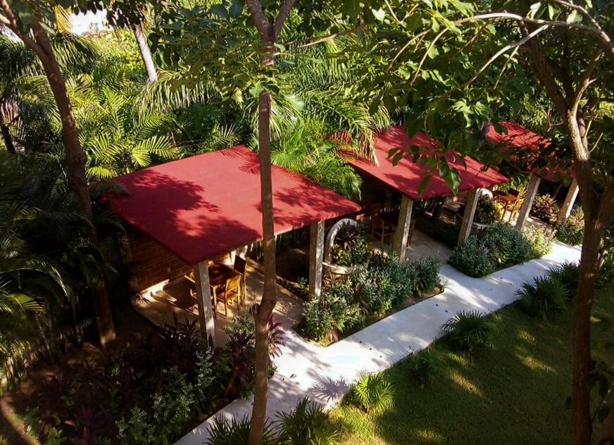 Foto - Hotel Casa de Lirio Diamante