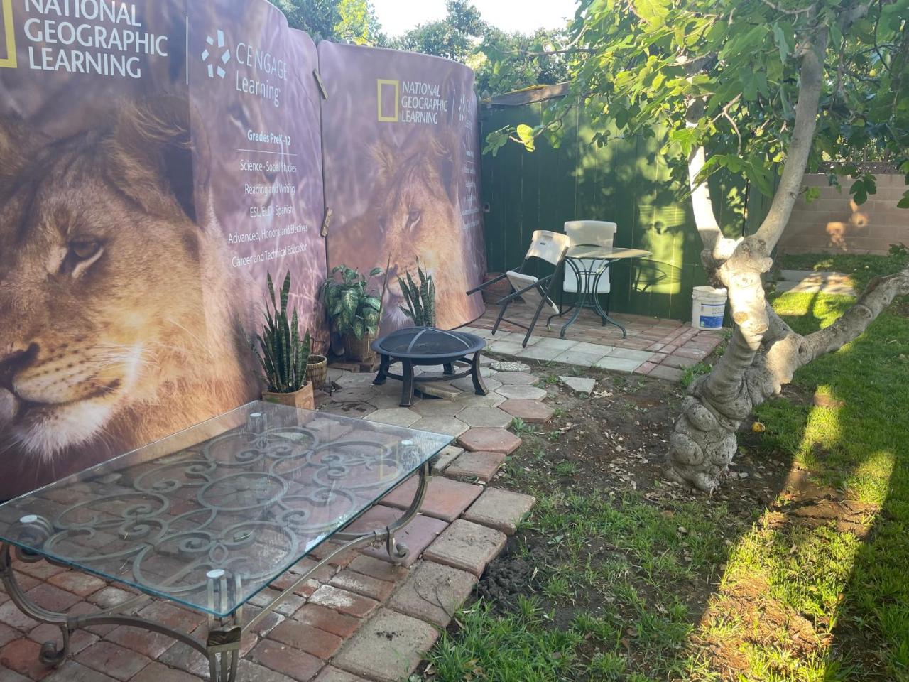 The Village photo 4