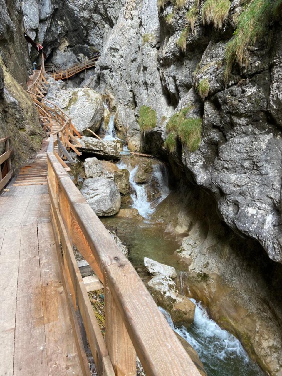 Steinerhaus Berggasthof photo 3