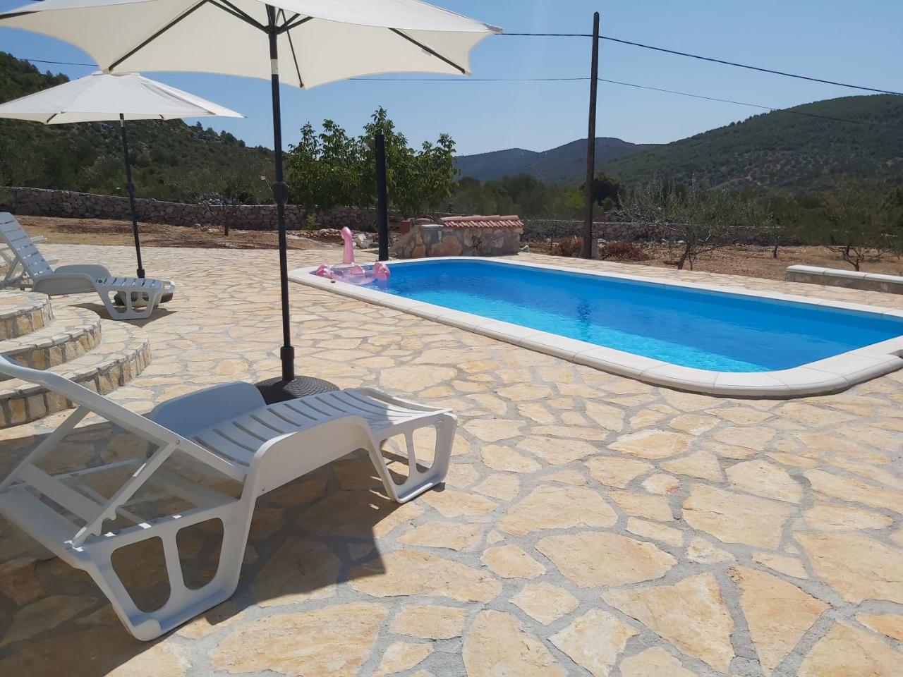 Apartment Olea - 4