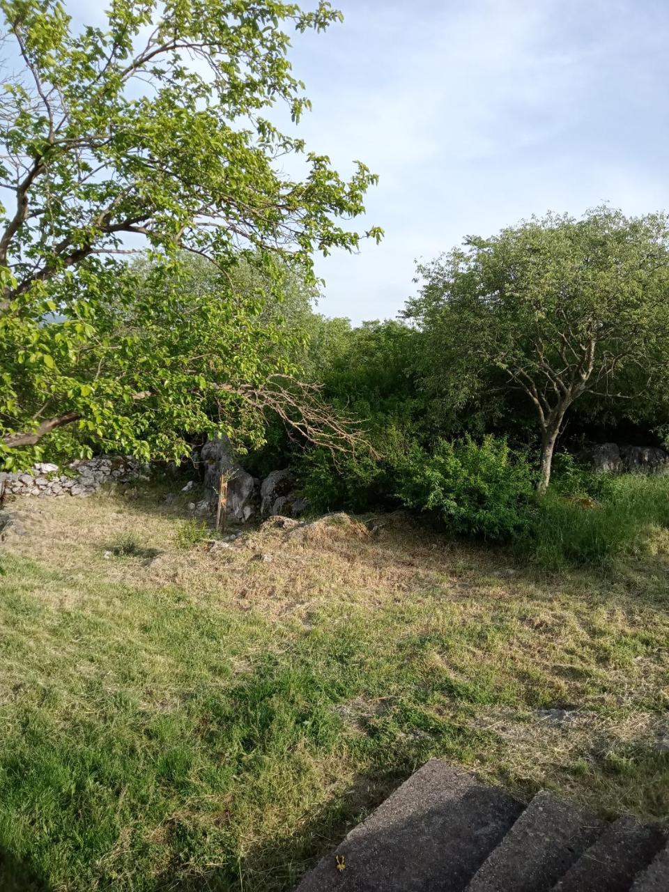 Country stone house Kovacevic - 2