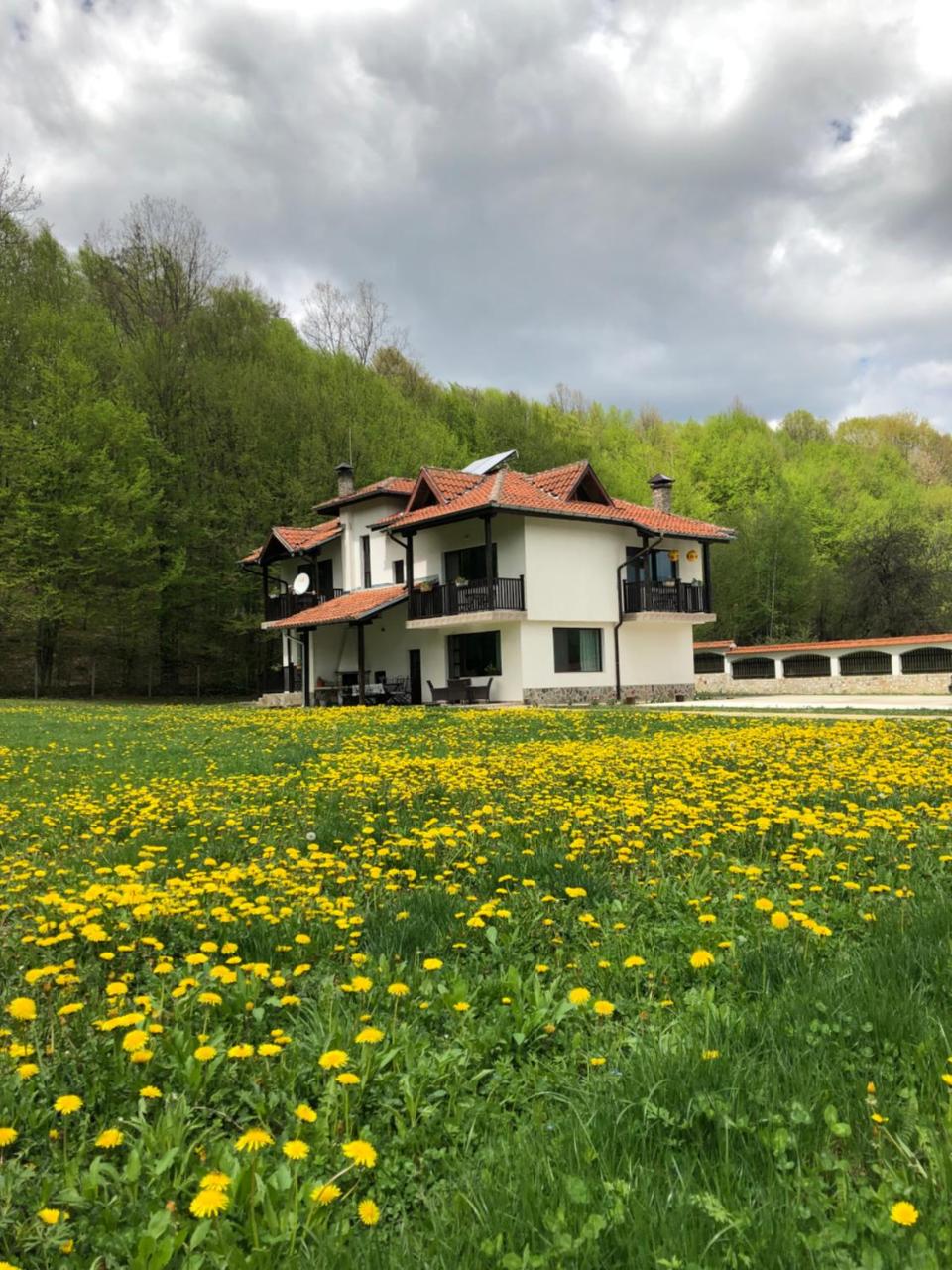 Wildwood Villa - 2
