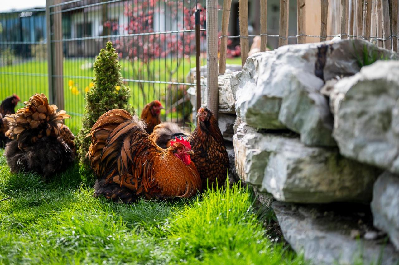 dasKAISER - Dein Gartenhotel in Tirol photo 3