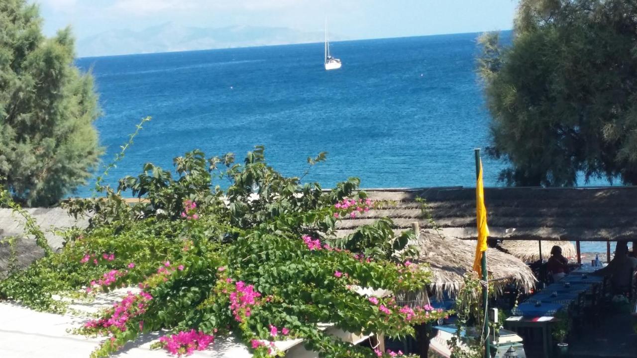 Ocean View photo 3