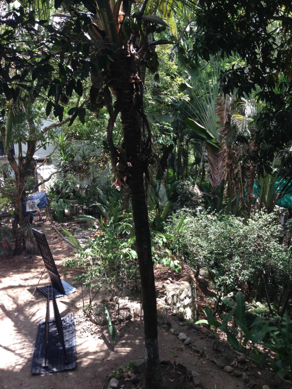 Centro Recreacional Villa Clarita photo 4