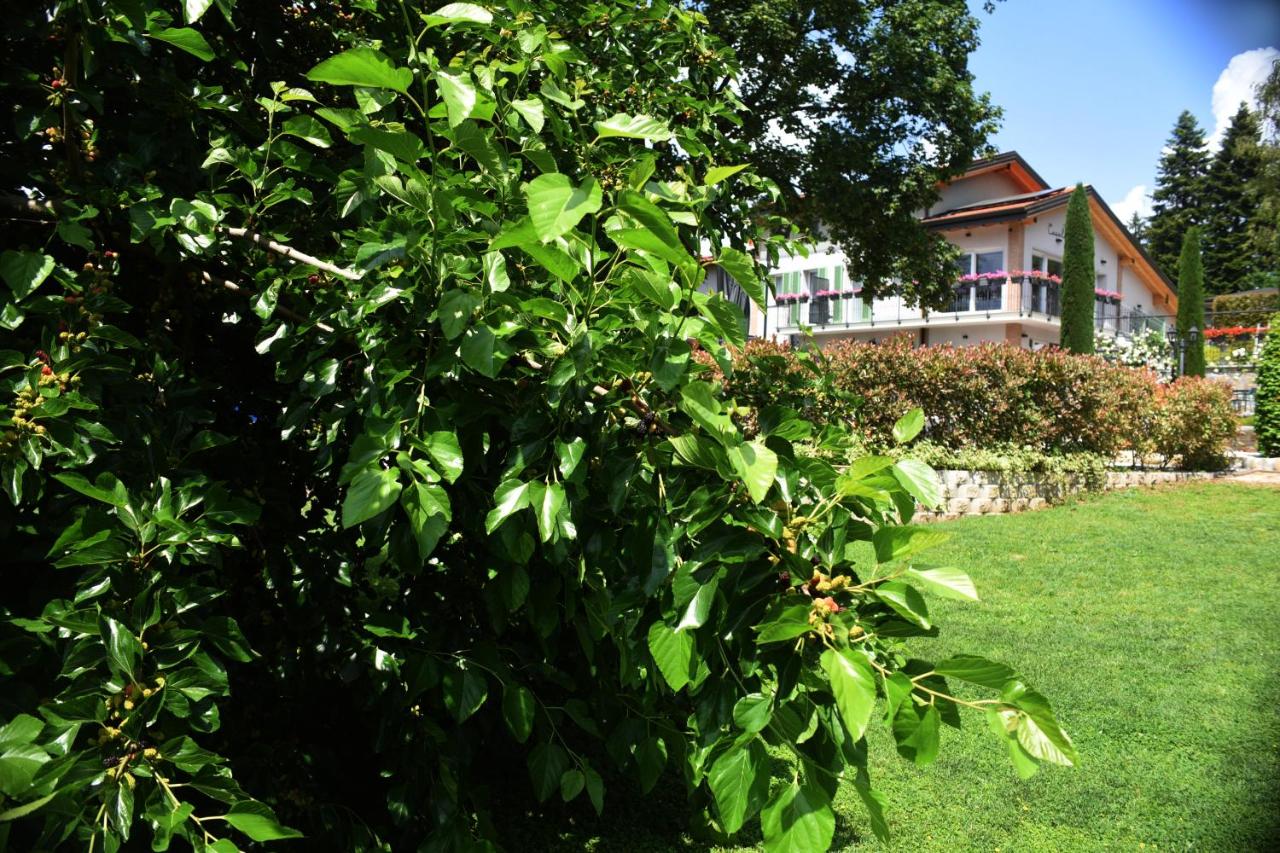 Casale al Foino photo 2