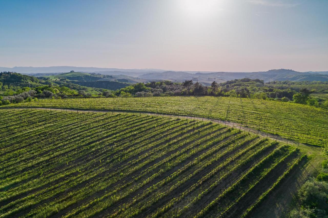 Castelfalfi photo 3