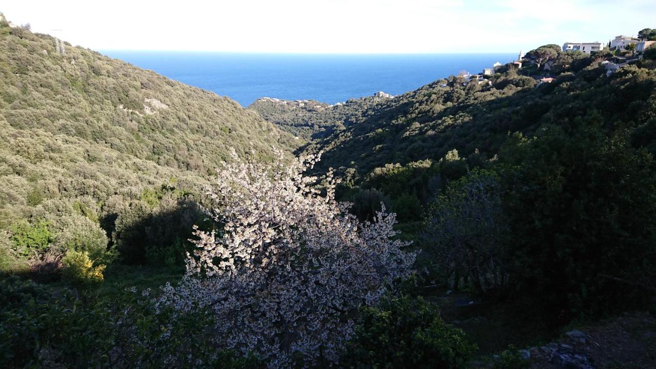 A Tana di a Volpe - 6