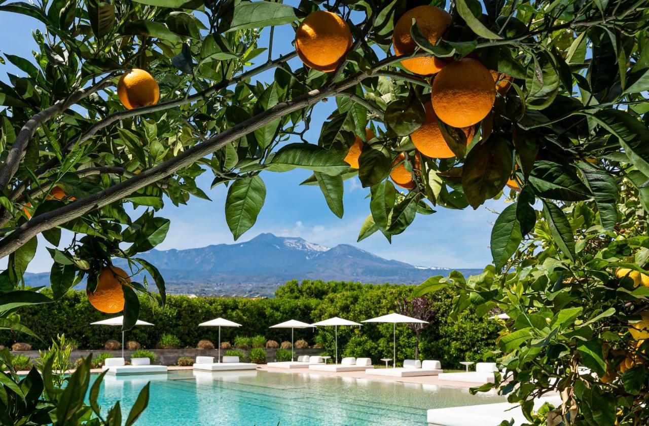 Ramo d'Aria Etna Boutique Hotel - 2