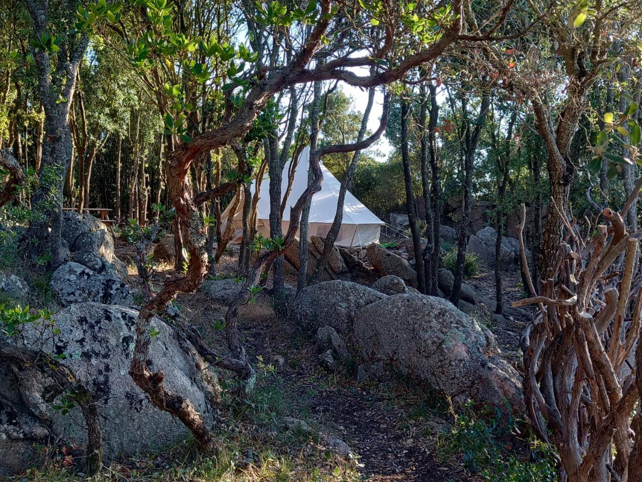 La Cera Farm Camping B&B photo 3