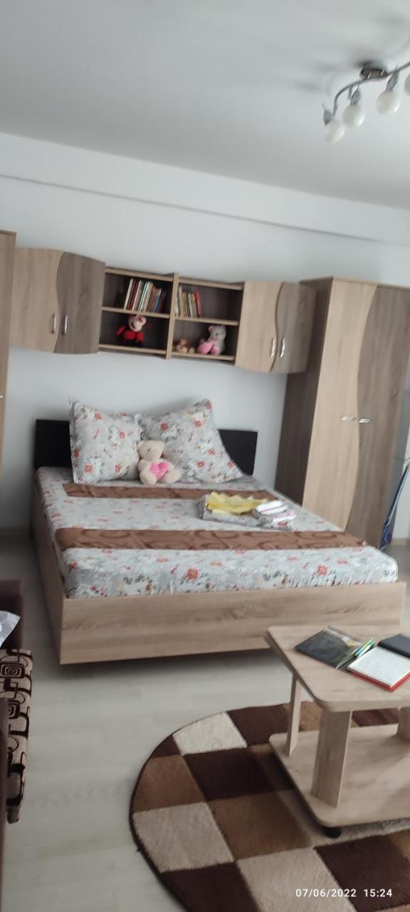 Garsonieră SORIN - 6
