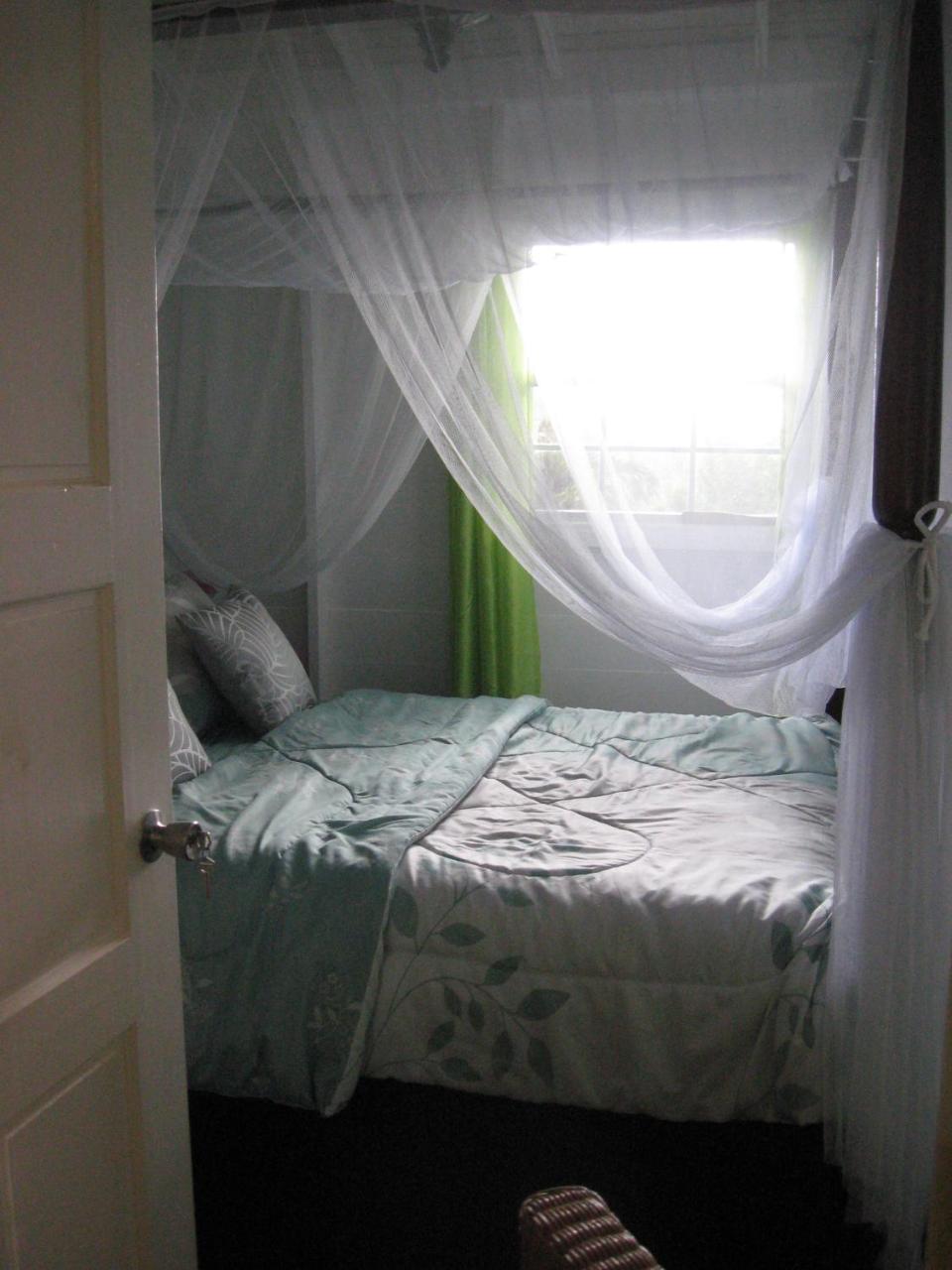 Palm Cottage photo 3
