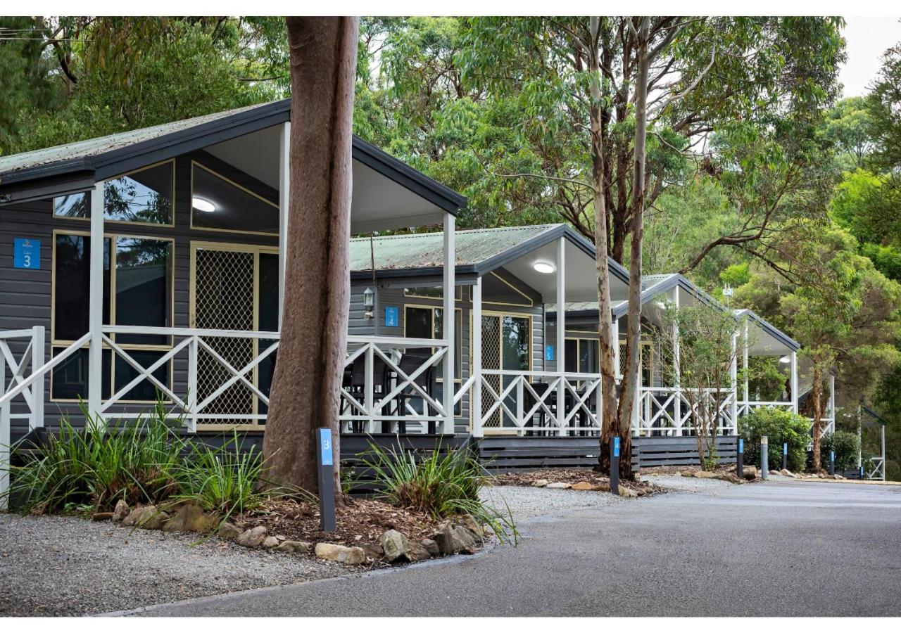 Discovery Parks - Lane Cove photo 3