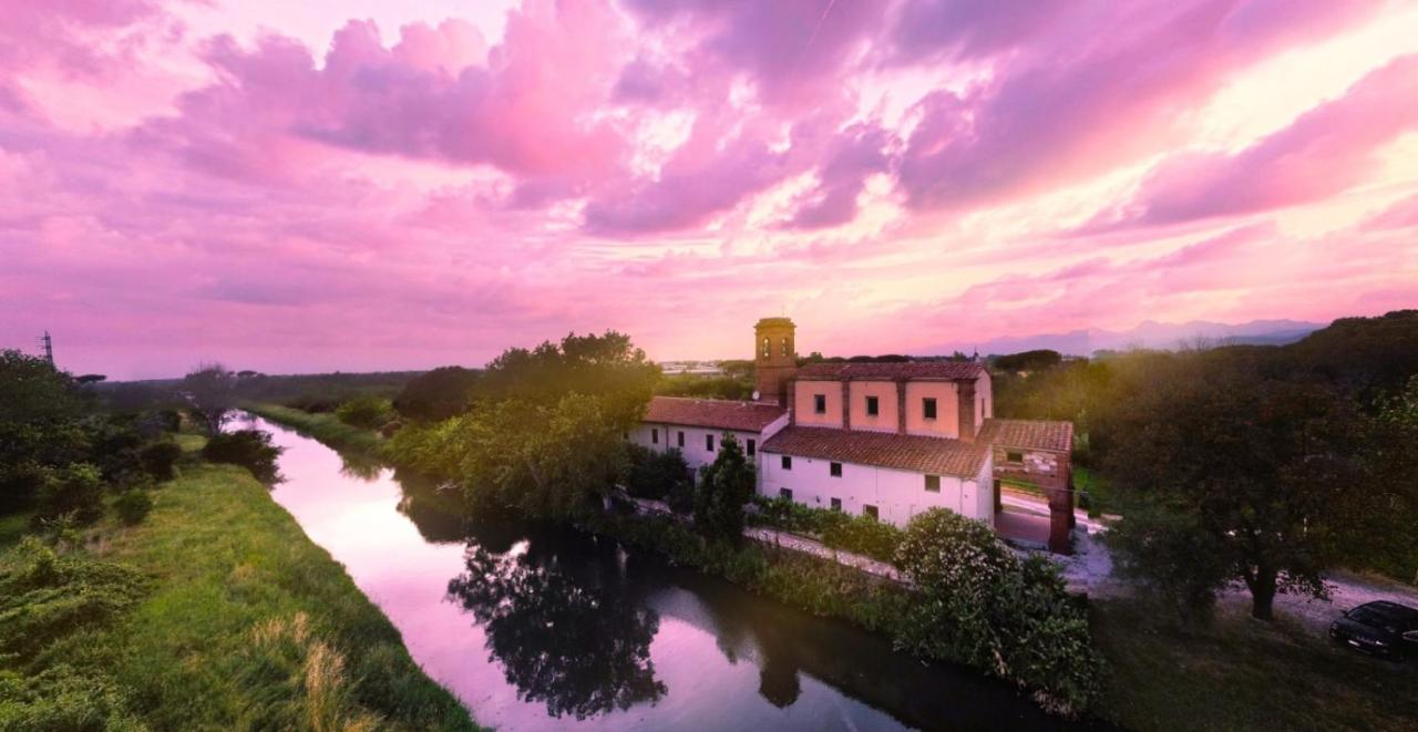 - Il Casale Toscano Guesthouse - 1900 mt from Pisa Tower - NO BREAKFAST & NO FRIDGE - Free parking - CHECK-IN FROM 3 PM - photo 4