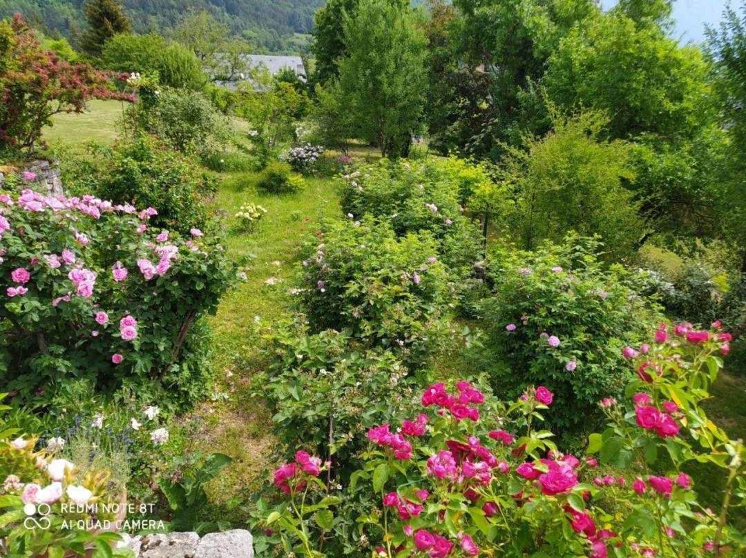 Studio au pied de la montagne et vue imprenable - 4