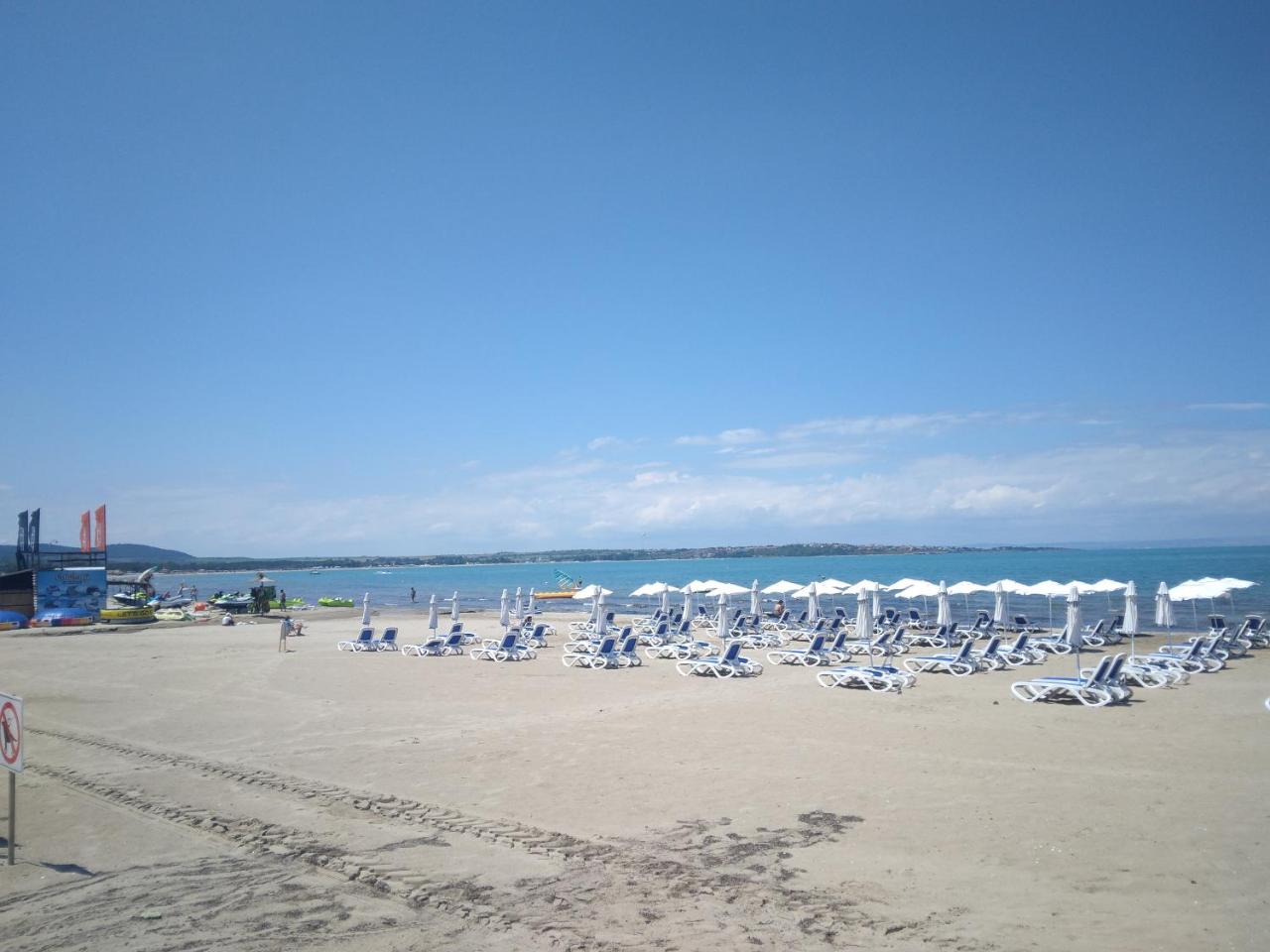 Camping Goldfish
