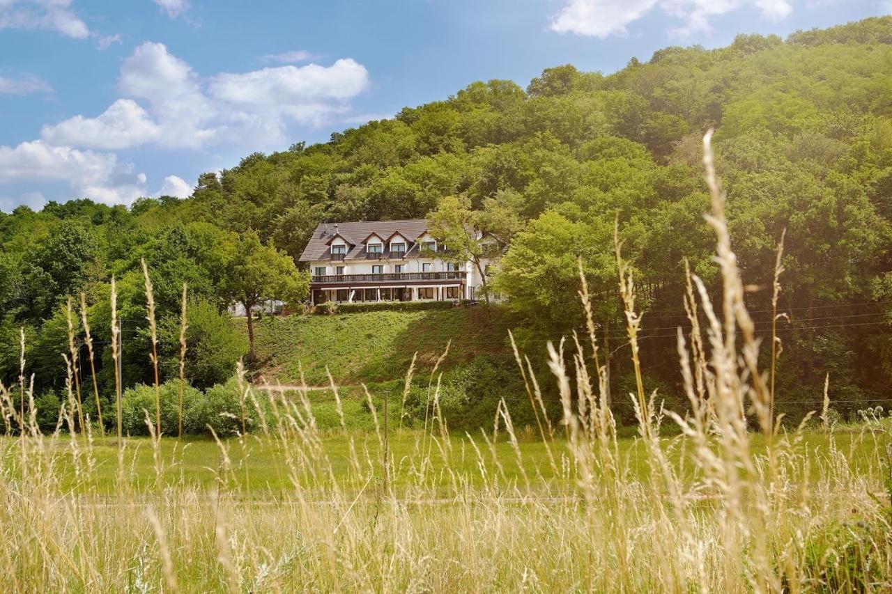 Landhotel Lembergblick photo 2