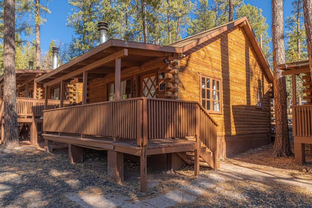 Forest Cabin 2 Birds Nest photo 2