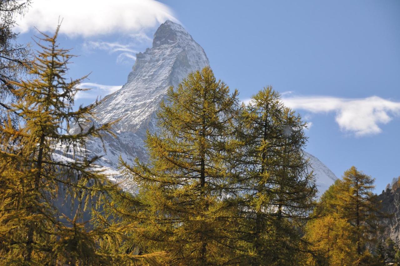 Photo - Zermatt Youth Hostel