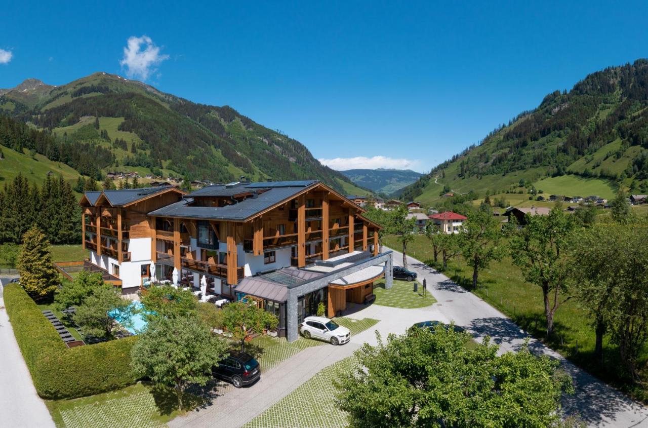 Hotel Alpina - 3