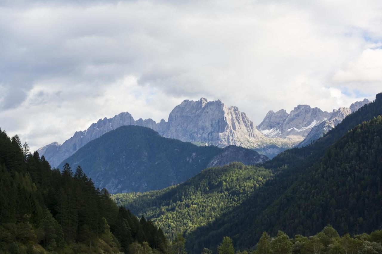 Photo - Hotel Alpenhof