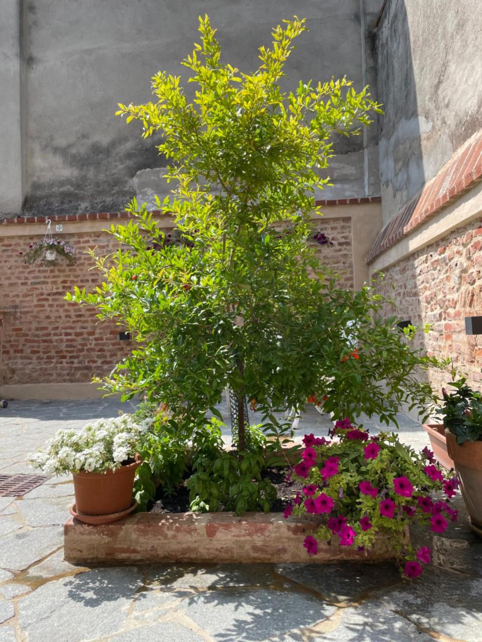 Residenza Nikol appartamento Giulia - 2