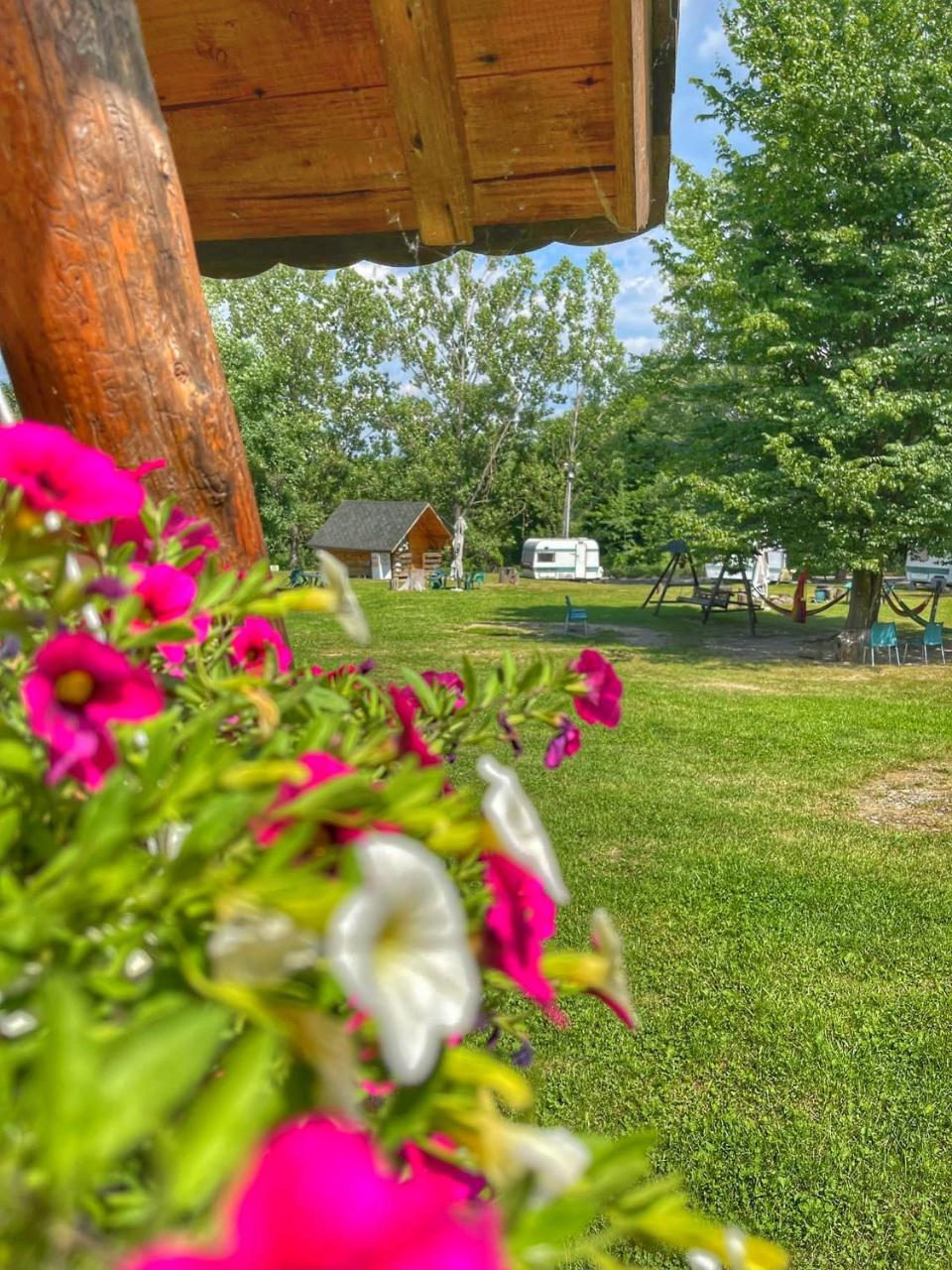 Camping Dragoske photo 4