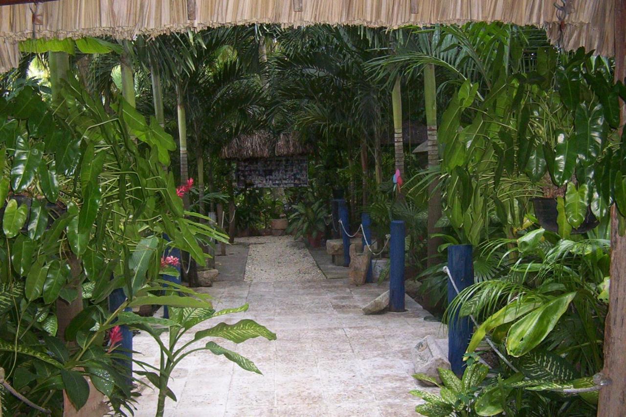 Posada El Jardin photo 4