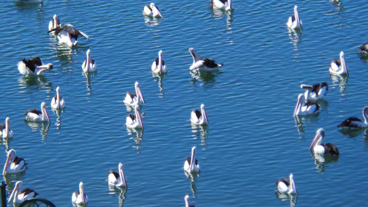 The Grand Apartments