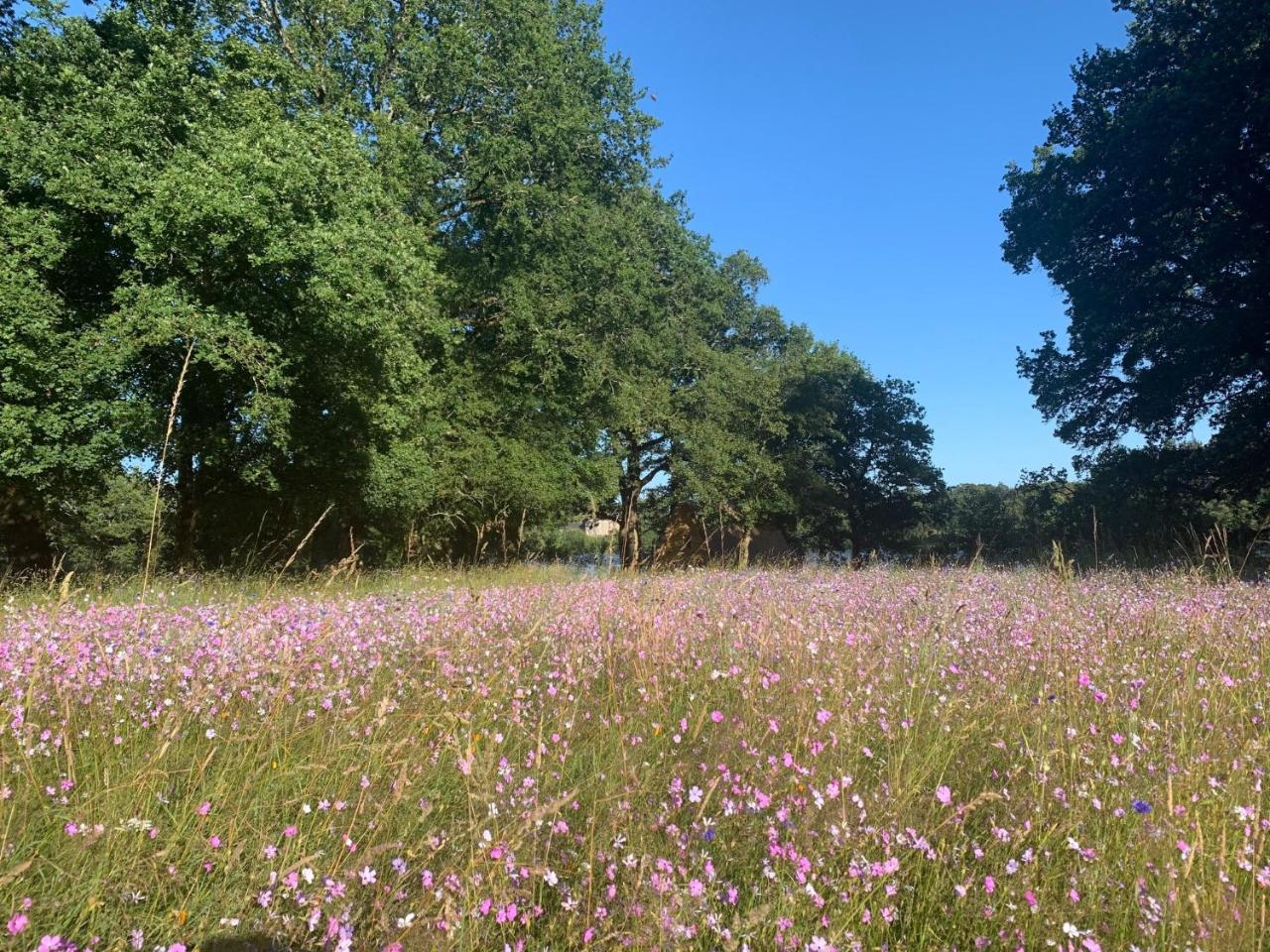 Le Domaine de la Briandais, expérience de sobriété électromagnétique photo 2