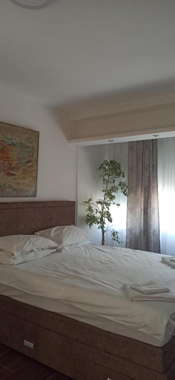 Apartmani Bonaca u Centru Nikšića - 2