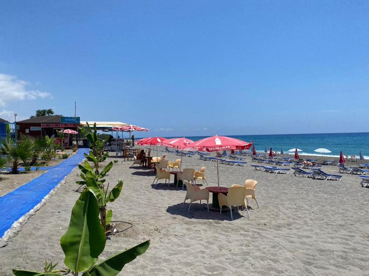 Foto - Max Nova Hotel