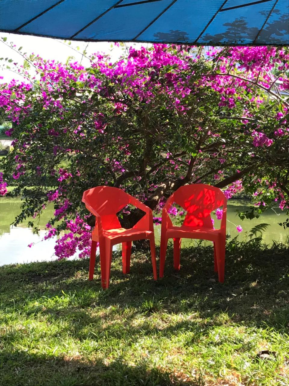 Hotel Colores del Arenal photo 3