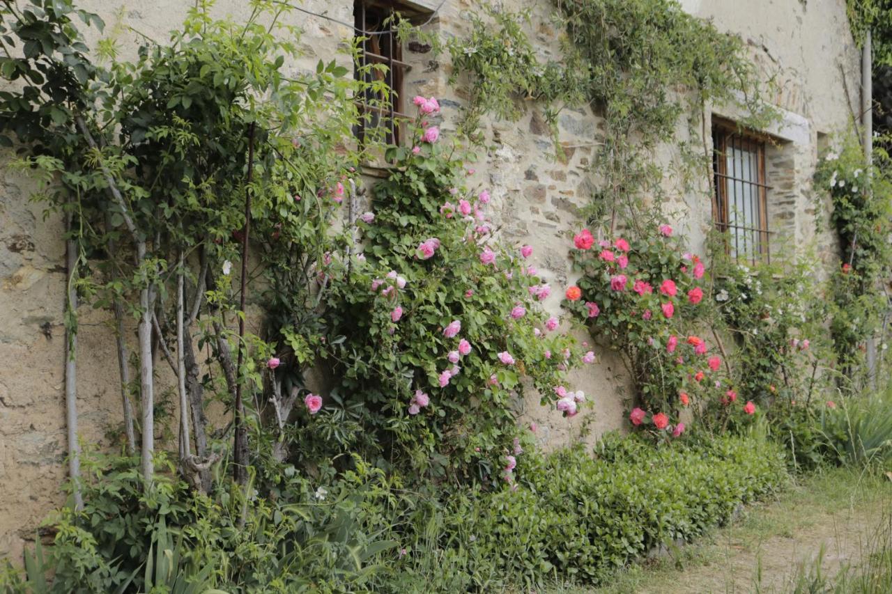 Casa Tapiolas Rectoría photo 4