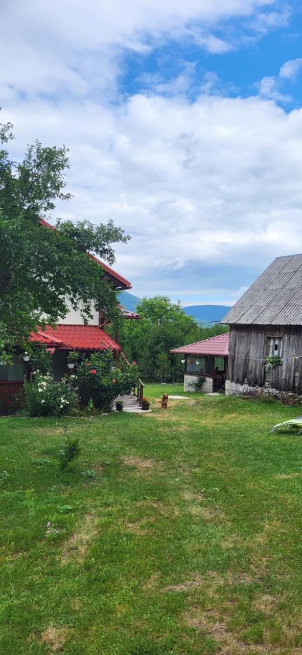 House Sara - 6