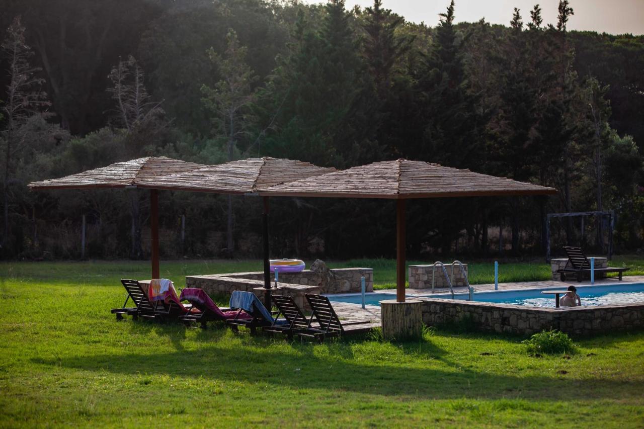Villa Georgina B&B - 5