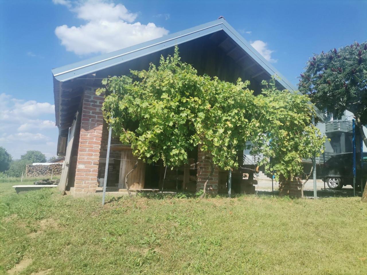 Apartman ŠIPA - 5