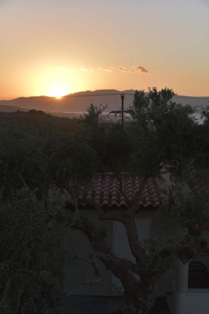 VILLA BLUE VEDERE - 4