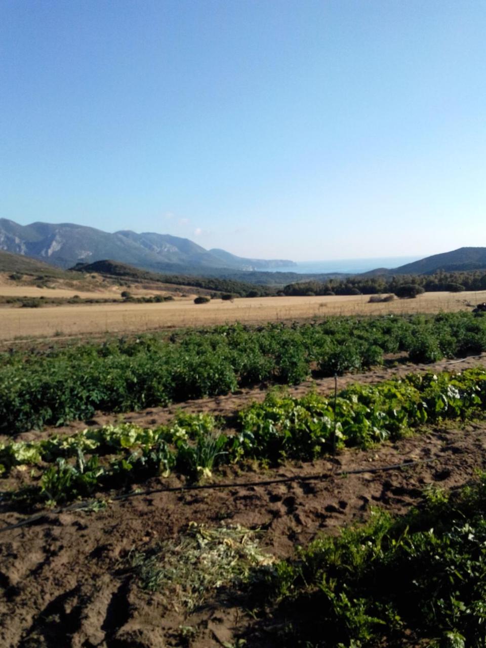 Agriturismo Il Ginepro photo 4