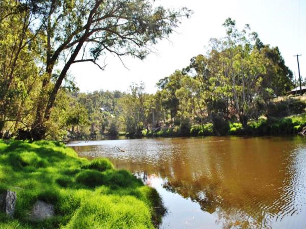 Tweed Valley Lodge photo 3